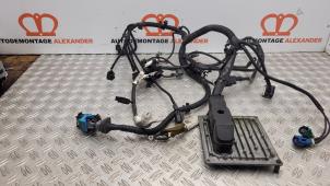 Usados Mazo de cables compartimento motor Ford C-Max (DM2) 1.6 16V Precio de solicitud ofrecido por Alexander Autodemontage