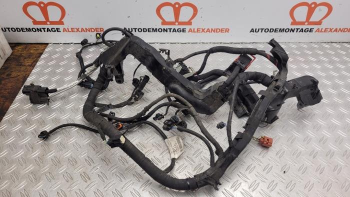 Begagnade Kablage Ford Fiesta 6 (JA8) 1.0 EcoBoost 12V 100 Pris på förfrågan erbjuds av Alexander Autodemontage