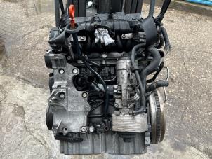 Used Engine Volkswagen Golf V (1K1) 2.0 TDI DRF 16V Price € 1.100,00 Margin scheme offered by Alexander Autodemontage