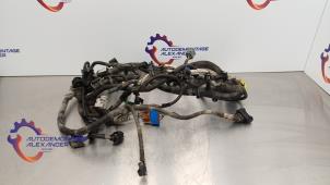 Used Wiring harness Ford Transit 2.2 TDCi 16V Euro 5 Price on request offered by Alexander Autodemontage