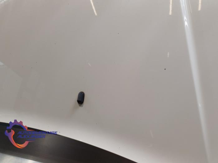Bonnet from a Ford Transit Connect (PJ2) 1.5 TDCi 2016