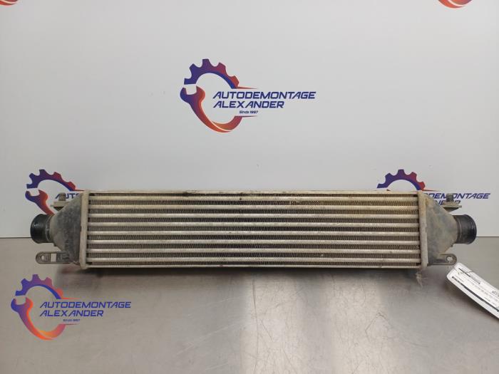 Usados Intercooler Fiat Doblo Cargo (263) 1.3 MJ 16V DPF Euro 5 Precio € 24,99 Norma de margen ofrecido por Alexander Autodemontage