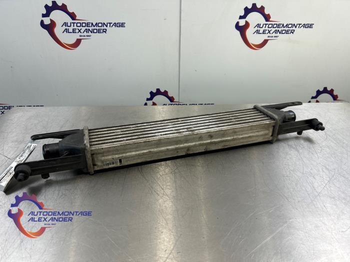 Usados Intercooler Alfa Romeo MiTo (955) 1.3 JTDm 16V Eco Precio € 29,99 Norma de margen ofrecido por Alexander Autodemontage