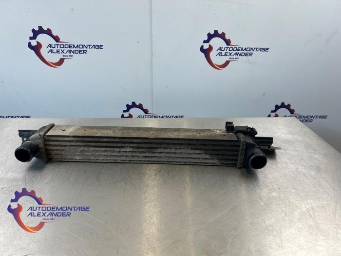 Usados Intercooler Fiat Fiorino (225) 1.3 D 16V Multijet Precio € 60,00 Norma de margen ofrecido por Alexander Autodemontage