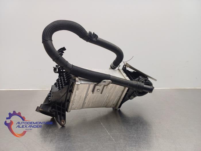 Usados Intercooler Ford Focus 4 1.5 EcoBlue 120 Precio € 99,99 Norma de margen ofrecido por Alexander Autodemontage