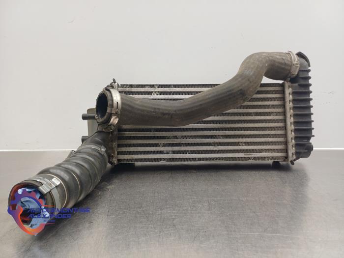 Usados Intercooler Ford Transit Connect (PJ2) 1.5 TDCi Precio € 34,99 Norma de margen ofrecido por Alexander Autodemontage