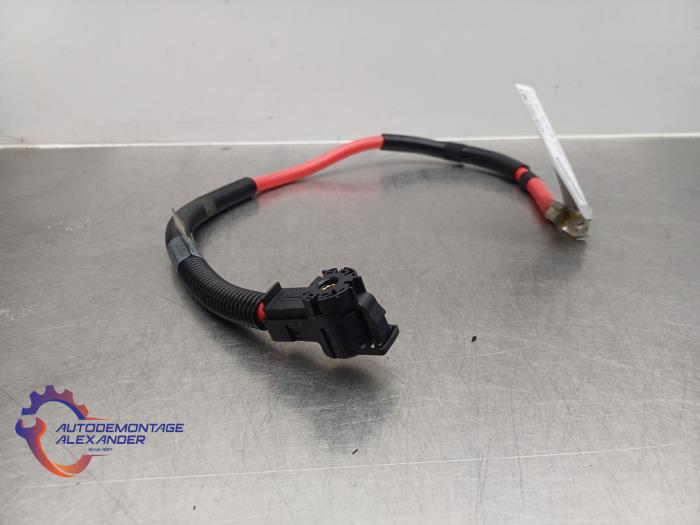 Używane Kabel (rózne) BMW 7 serie (E65/E66/E67) 730d,Ld 3.0 24V Cena na żądanie oferowane przez Alexander Autodemontage