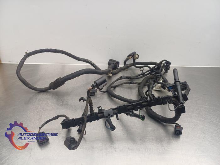 Begagnade Kablage Volkswagen Golf VI (5K1) 1.4 16V Pris på förfrågan erbjuds av Alexander Autodemontage