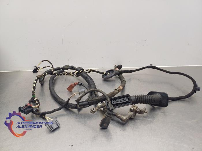 Begagnade Kablage Volkswagen Polo V (6R) 1.2 12V Pris € 60,00 Marginaltabell erbjuds av Alexander Autodemontage