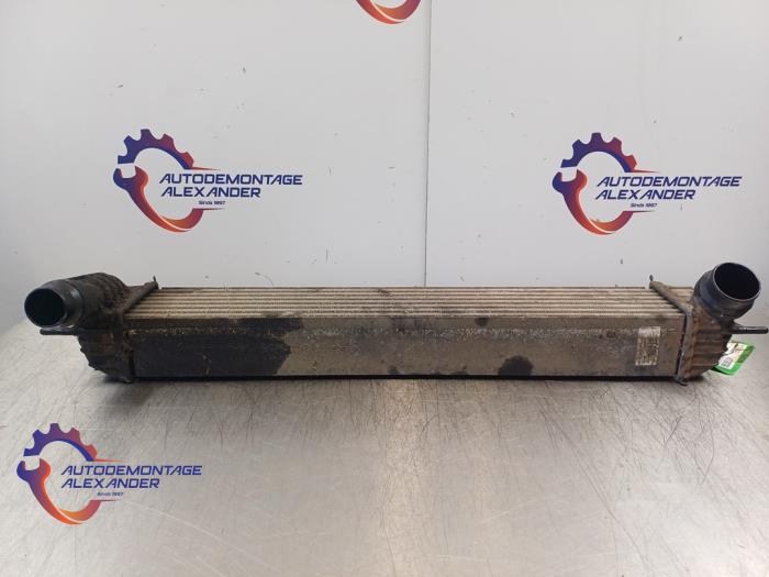 Usados Intercooler Renault Laguna III (BT) 1.5 dCi 110 Precio € 69,99 Norma de margen ofrecido por Alexander Autodemontage