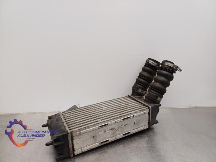 Usados Intercooler Peugeot 308 SW (4E/H) 1.6 16V THP 150 Precio € 14,99 IVA incluido ofrecido por Alexander Autodemontage
