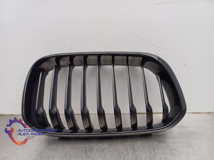 Begagnade Grill BMW 1 serie (F21) 116i 1.5 TwinPower 12V Pris € 48,40 Inklusive moms erbjuds av Alexander Autodemontage