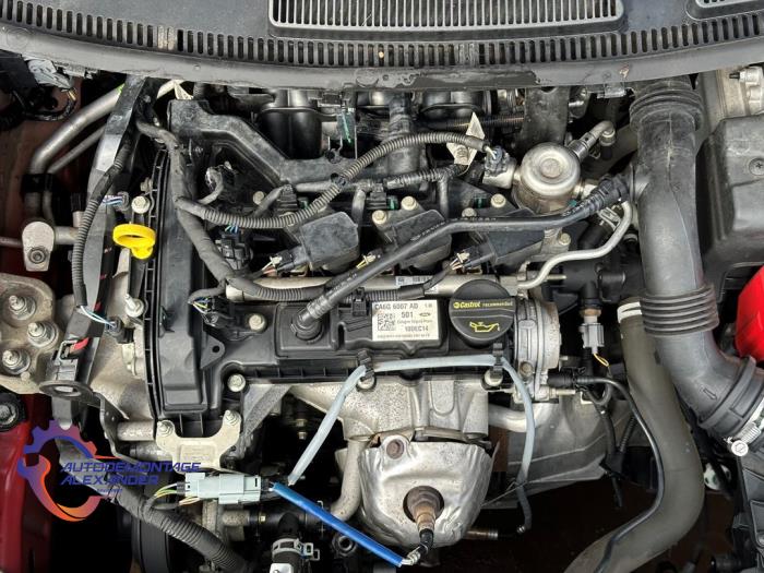 Used Gearbox Ford Fiesta 6 (JA8) 1.0 SCI 12V 80 Price € 499,99 Margin scheme offered by Alexander Autodemontage