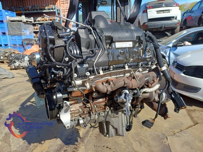 Used Engine Landrover Range Rover IV (LG) 4.4 SDV8 32V Price € 14.520,00 Inclusive VAT offered by Alexander Autodemontage