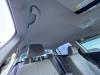 Volkswagen Passat (3C2) 1.4 TSI 16V Dachverkleidung