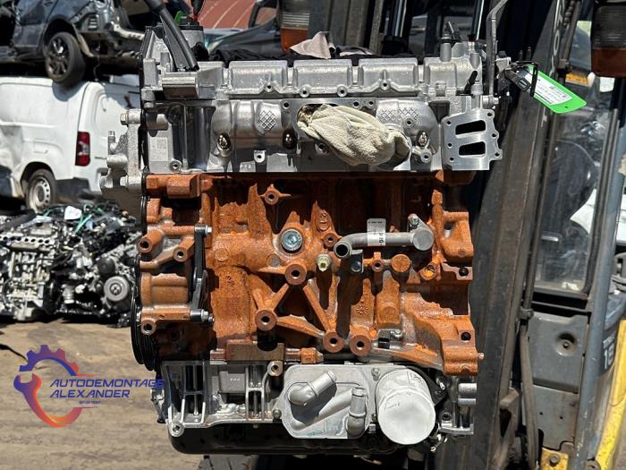 Overhauled Engine Ford Transit 2.0 TDCi 16V Eco Blue 130 Price € 3.025,00 Inclusive VAT offered by Alexander Autodemontage
