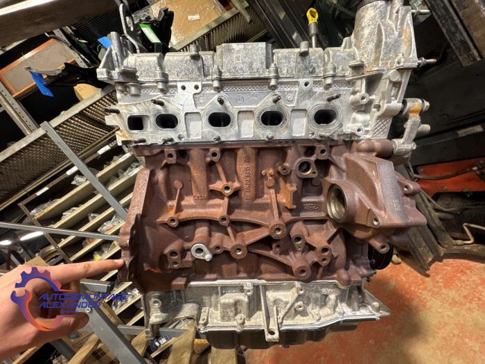 Overhauled Engine Ford Transit 2.0 TDCi 16V Eco Blue 165 Price € 3.267,00 Inclusive VAT offered by Alexander Autodemontage