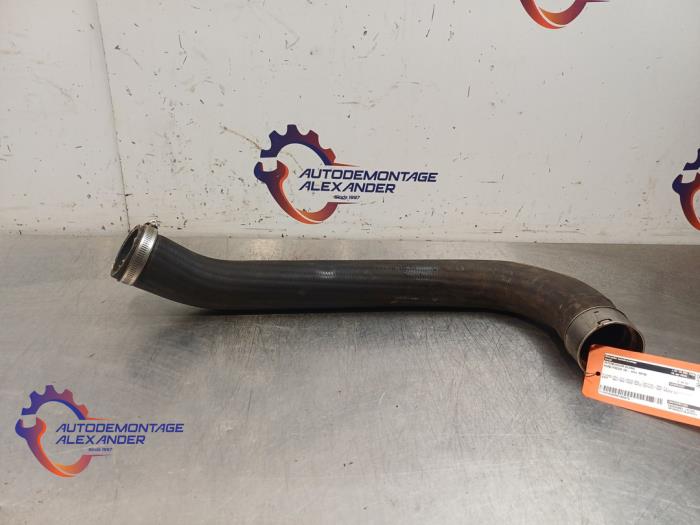 Gebrauchte Intercooler Schlauch Ford Focus 4 1.0 Ti-VCT EcoBoost 12V 100 Preis € 58,08 Mit Mehrwertsteuer angeboten von Alexander Autodemontage