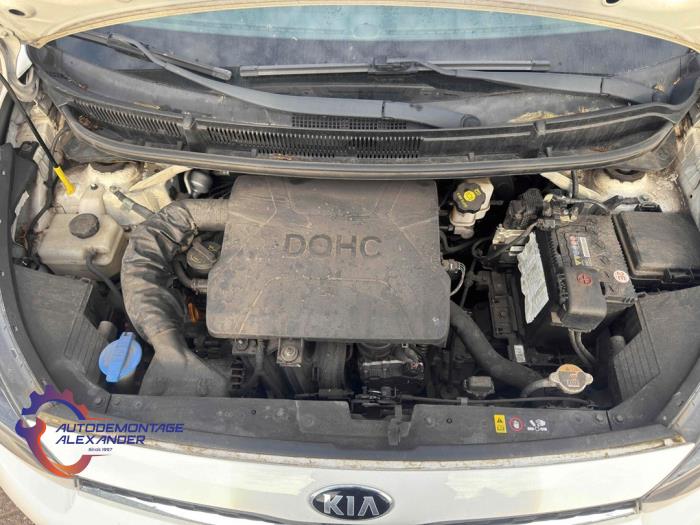 Motor Kia Picanto (JA), 2017 1.0 12V, Fließheck, Benzin, 998cc, 49kW (67pk), FWD, G3LA; G3LD, 2017-03 (Gebraucht)