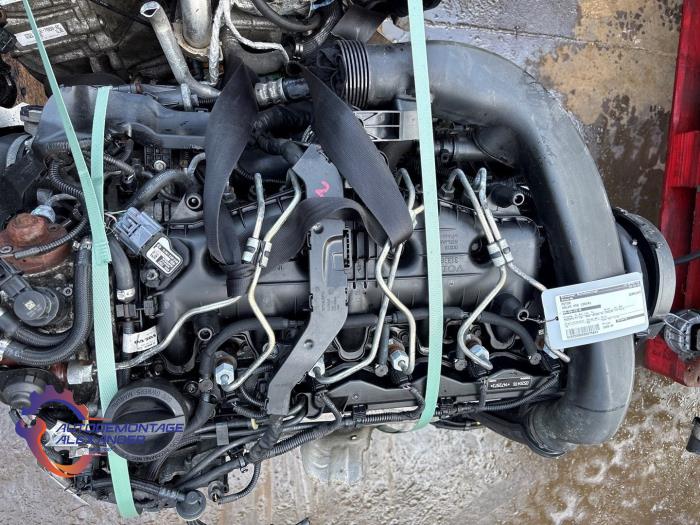Używane Silnik Volvo V40 (MV) 2.0 D3 20V Cena € 1.815,00 Z VAT oferowane przez Alexander Autodemontage