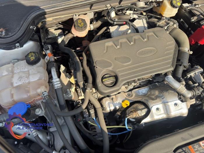Engine from a Ford Focus 4 1.5 EcoBlue 120 2019