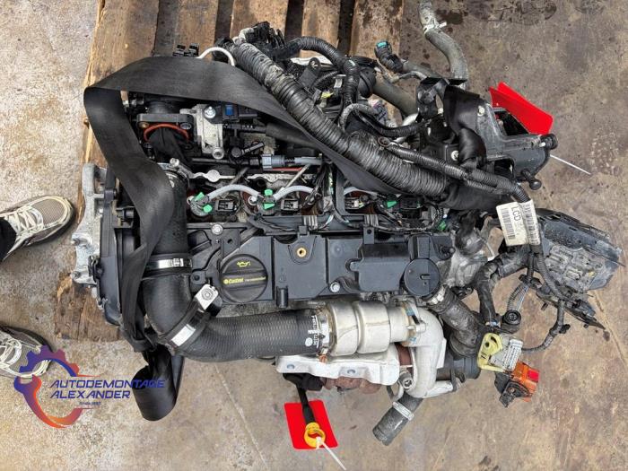 Used Engine Ford Fiesta 6 (JA8) 1.5 TDCi Price € 700,00 Margin scheme offered by Alexander Autodemontage