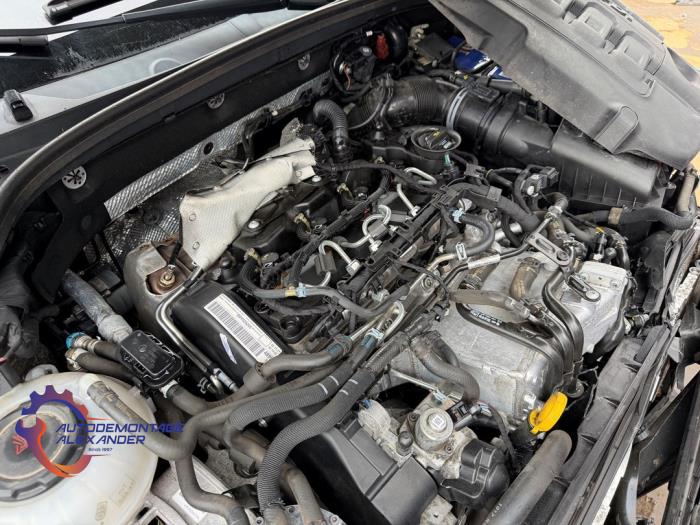 Usagé Boîte de vitesse Skoda Octavia Combi (5EAC) 1.6 TDI 16V Prix € 350,00 Règlement à la marge proposé par Alexander Autodemontage