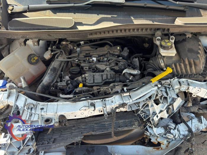 Używane Silnik Ford Transit Connect (PJ2) 1.5 TDCi Cena € 3.250,00 Procedura marży oferowane przez Alexander Autodemontage