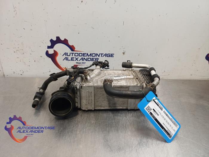 Usados Intercooler Volkswagen Transporter T6 2.0 TDI 150 Precio € 211,75 IVA incluido ofrecido por Alexander Autodemontage