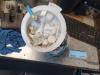 MINI Mini (R56) 1.6 16V One Bensinpump