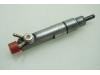 Injector (diesel) from a Volkswagen Transporter/Caravelle T4 2.5 TDI Syncro 2003