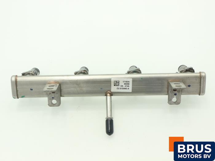 Usagé Système d'injection Jeep Renegade (BU) 1.4 Multi Air 16V Prix € 151,25 Prix TTC proposé par Brus Motors BV