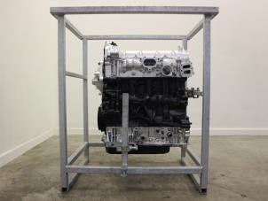 Overhauled Engine Ford Transit 2.0 TDCi 16V Eco Blue 105 Price € 3.932,50 Inclusive VAT offered by Brus Motors BV