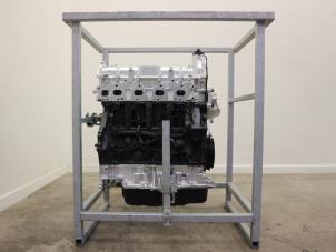 Overhauled Engine Ford Transit 2.0 TDCi 16V Eco Blue 170 Price € 3.932,50 Inclusive VAT offered by Brus Motors BV