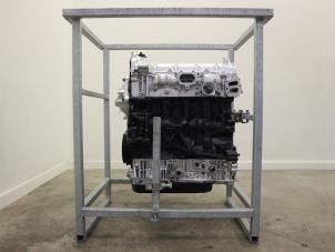 Overhauled Engine Ford Transit Custom 2.0 TDCi 16V Eco Blue 105 Price € 3.932,50 Inclusive VAT offered by Brus Motors BV