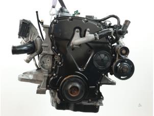 Używane Silnik Ford Transit 2.4 TDCi 16V Cena € 3.569,50 Z VAT oferowane przez Brus Motors BV