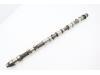 Camshaft from a BMW 5 serie (E60) 530d 24V 2008