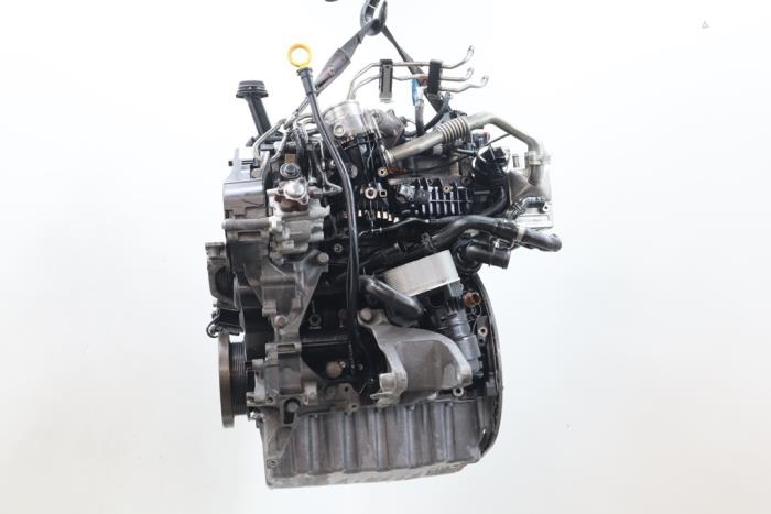 Engine Volkswagen Transporter T6 2.0 TDI 204 - 03N100031A CXE