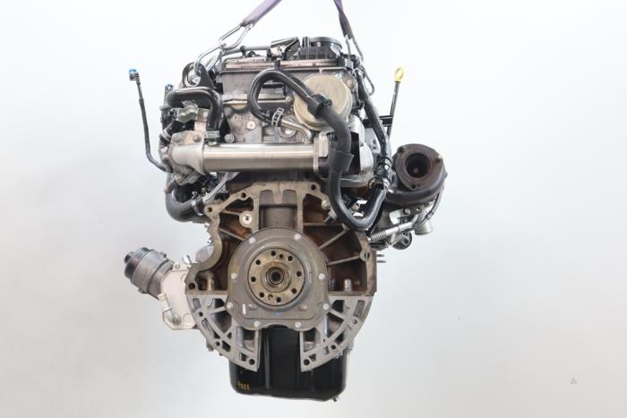 Engine Ford Ranger 32 Tdci 20v 4x4 Sa2r0 Sa2r Brus Motors Bv 6770