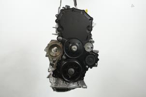 Neue Motor Ford Ranger 2.0 EcoBlue 16V Preis € 4.537,50 Mit Mehrwertsteuer angeboten von Brus Motors BV