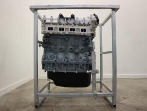 Overhauled Engine Fiat Ducato (250) 3.0 D Multijet Power Price € 4.537,50 Inclusive VAT offered by Brus Motors BV