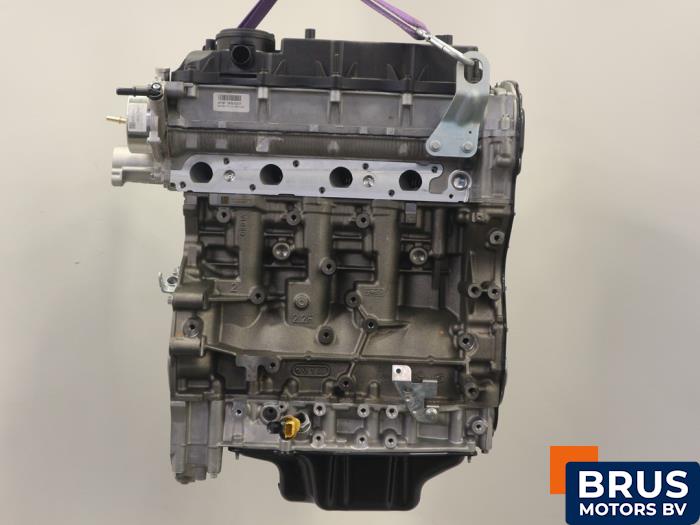 Neue Motor Ford Transit Custom 2.2 TDCi 16V Preis € 3.932,50 Mit Mehrwertsteuer angeboten von Brus Motors BV
