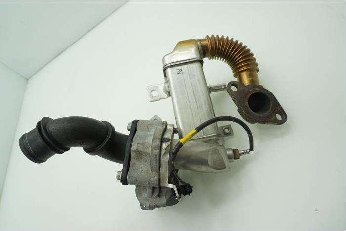 EGR valve from a Renault Trafic (1FL/2FL/3FL/4FL) 1.6 dCi Twin Turbo 2018