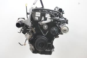 Used Motor Ford Ranger 3.2 TDCi 20V Price € 7.199,50 Inclusive VAT offered by Brus Motors BV