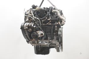 Gebrauchte Motor Iveco New Daily VI 33S11, 35C11, 35S11 Preis € 5.142,50 Mit Mehrwertsteuer angeboten von Brus Motors BV