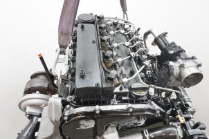 Used Engine Ford Ranger 3.2 TDCi 20V Price € 7.199,50 Inclusive VAT offered by Brus Motors BV