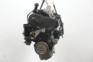 Gebrauchte Motor Volkswagen Transporter/Caravelle T6 2.0 TDI 150 Preis € 7.865,00 Mit Mehrwertsteuer angeboten von Brus Motors BV