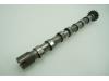 Camshaft from a Landrover Range Rover Evoque (LVJ/LVS), 2011 / 2019 2.2 TD4 16V 5-drs., SUV, 4-dr, Diesel, 2.179cc, 110kW (150pk), 4x4, 224DT; DW12BTED4, 2011-06 / 2019-12, LVS5FF2 2013