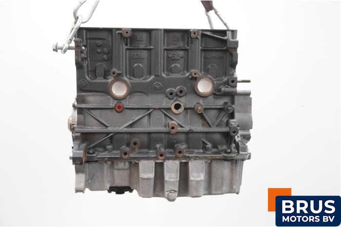 Gebrauchte Motor Volkswagen Caddy III (2KA,2KH,2CA,2CH) 1.6 TDI 16V Preis € 484,00 Mit Mehrwertsteuer angeboten von Brus Motors BV