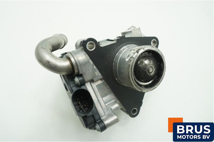 Usagé Valve RGE Volkswagen Passat (3G2) 2.0 TDI 16V 190 Prix € 90,75 Prix TTC proposé par Brus Motors BV
